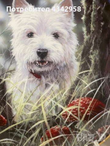 Колекционерска чиния от серия « Westies », снимка 2 - Антикварни и старинни предмети - 50787184