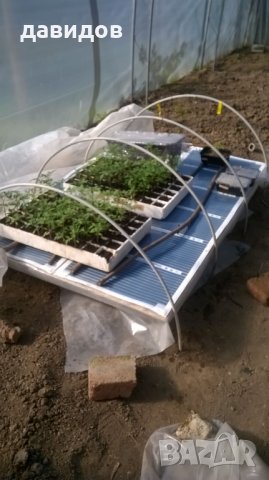 Отопление за оранжерия, разсадник, маса за разсад , парник.Сушилня!, снимка 2 - Стайни растения - 34264703