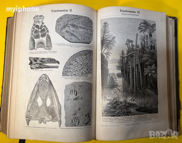 Стара Книга Справочна Работа с Общи Познания 1897 г., снимка 13 - Антикварни и старинни предмети - 52787433