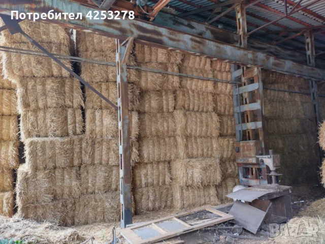 Продавам бали пшеничена слама – реколта 2025 г., снимка 3 - За селскостопански - 51320155