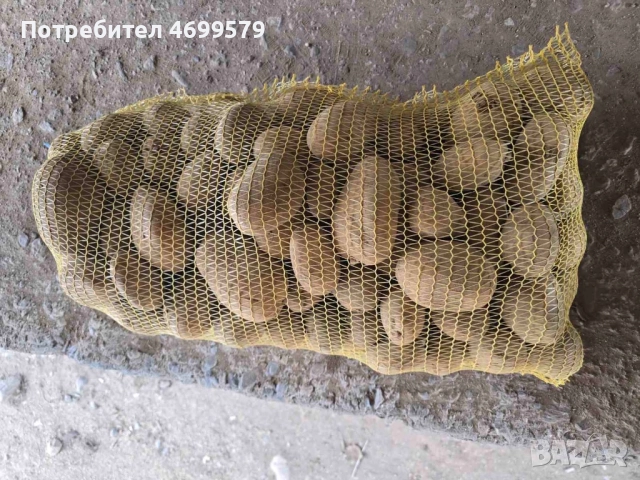 Вкусни картофи от производител , снимка 2 - Домашни продукти - 52976615