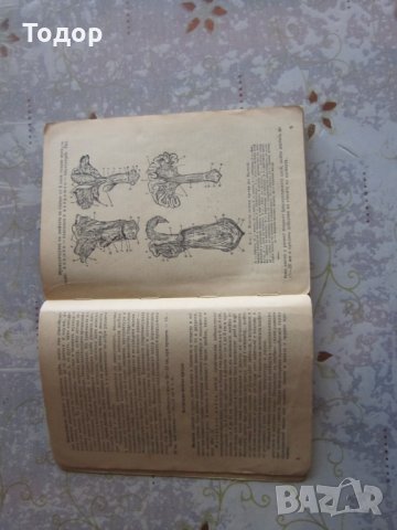 Книга Ветеринарно акушерство и искуствено осеменяване , снимка 3 - Специализирана литература - 32567281