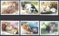 Чисти марки Фауна Котки 2007 от Куба