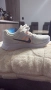  Нови Оригинални маратонки Nike , снимка 5