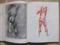 Книга Пластическая анатомия и изображения человека, 1985г., снимка 2