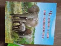 детски книжки, снимка 6