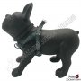 Нагръдник за Куче - Go Get Harness Neoprene - XS, S, M, L - Cuori Grigi - Pet Interest, снимка 3