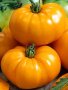Семена за оранжеви домати , снимка 1 - Сортови семена и луковици - 44090601