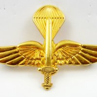 Македония-Военни значки-Знаци-Емблеми-Рейнджъри, снимка 6 - Колекции - 37041909