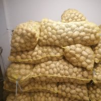 Продавам семе Картофи сорт Сорая Агрия и Агата цена 1.20лв/кг област Пловдив , снимка 5 - Домашни продукти - 43341859