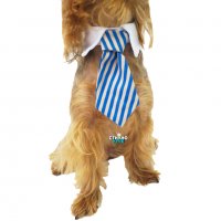 Вратовръзка за куче Официален костюм за куче Кучешки вратовръзки Кучешка вратовръзка/папийонка, снимка 2 - За кучета - 19909213