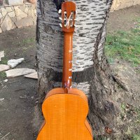 Продавам акустична китара Адмира модел Малага, снимка 2 - Китари - 43601650