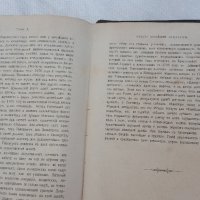 Книга от 1893 година-История на немската литература, снимка 6 - Антикварни и старинни предмети - 28379514