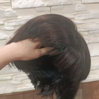 перука на кичури 30лв, снимка 3 - Аксесоари за коса - 44125983