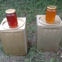 Пчелен мед,пити с мед   - реколта 2023, снимка 2 - Пчелни продукти - 18858767