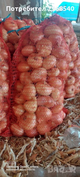 Продавам лук , снимка 1