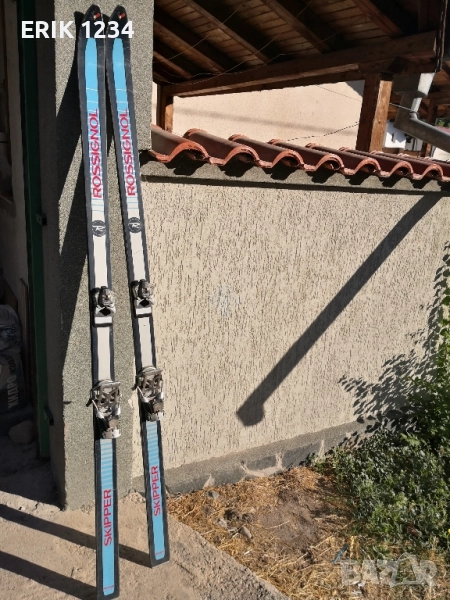 Ски , снимка 1