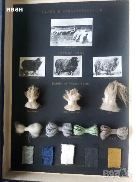 Кутия "Вълната и използването и", снимка 1