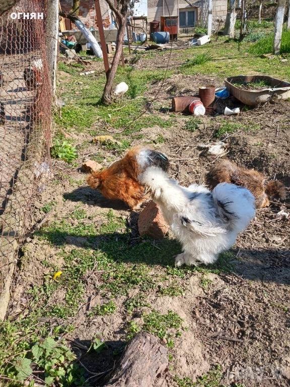 Свободни  копринки, снимка 1