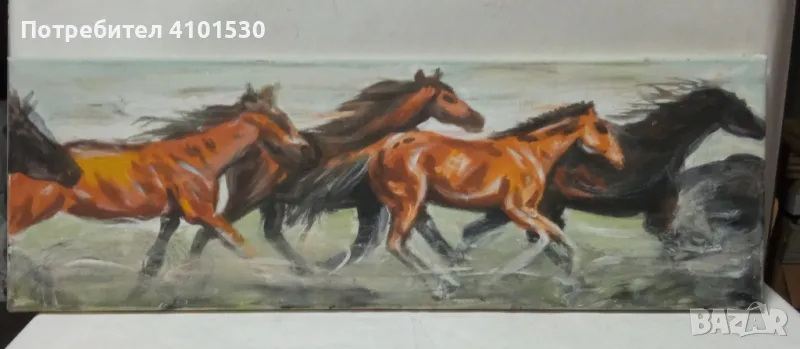 Бягащи коне, снимка 1