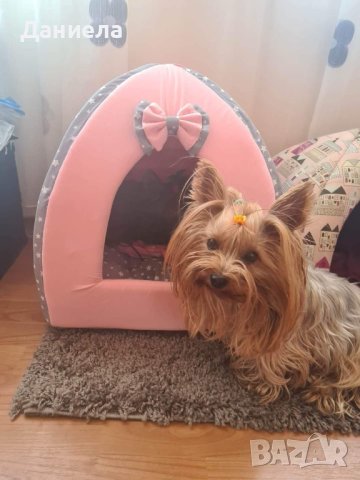 Кучешки легла с име, снимка 15 - За кучета - 43119754