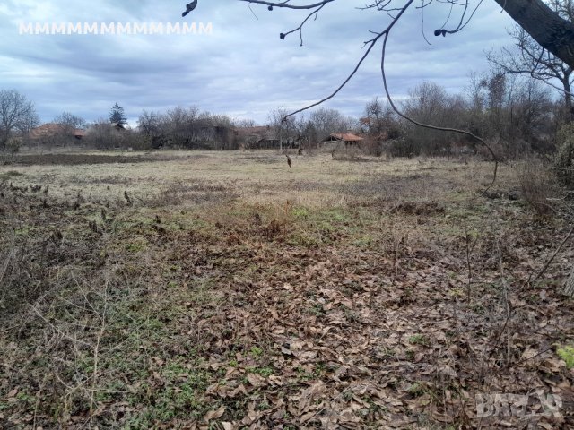 Продава парцел.Дворно място с.Сенник , снимка 2 - Парцели - 43396100