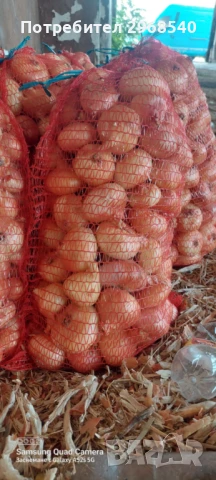 Продавам лук , снимка 1