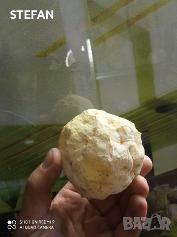 Минерали кристали аметист ахат геод и д-р по 25лв, снимка 2 - Други ценни предмети - 38583240