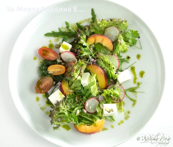 Бяла нектарина, снимка 4 - Градински цветя и растения - 52529910