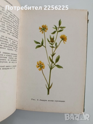 Албум с илюстрации на медоносни растения, снимка 2 - Специализирана литература - 52471052