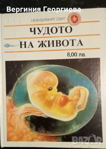 Книги за сексуалното възпитание и здраве на децата , снимка 6 - Други - 51836304