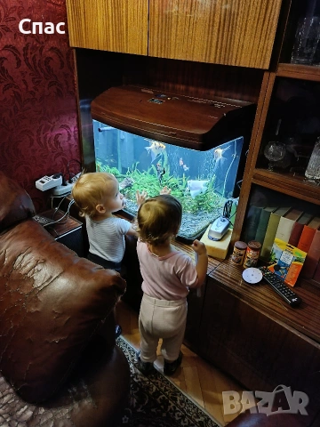 Аквариум 80 литра, снимка 4 - Аквариуми - 53560315
