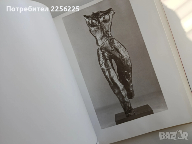 Анри Матис - Картини и скулптури, снимка 9 - Специализирана литература - 53582440