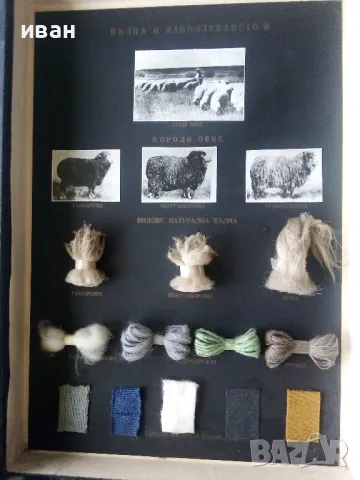 Кутия "Вълната и използването и"