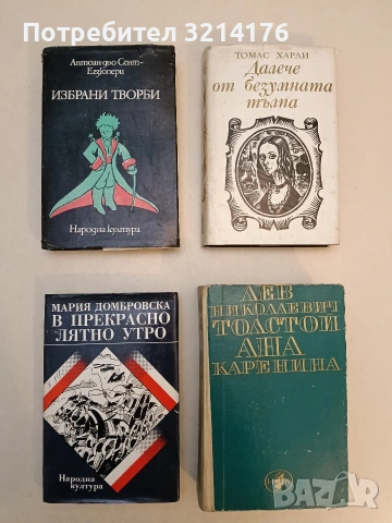 Далече от безумната тълпа - Томас Харди 