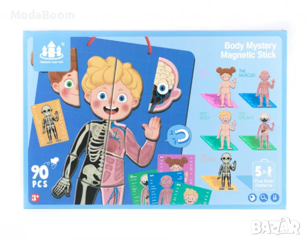 Магнитна дъска с човешкото тяло, снимка 7 - Образователни игри - 48869757