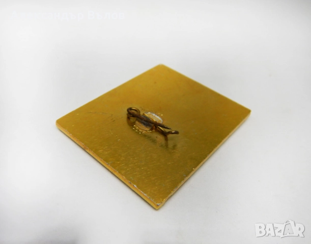 Уникат Преса Пропуск Панаир Пловдив Значка Стара 1985 Журналисти Есен, снимка 5 - Антикварни и старинни предмети - 51693115