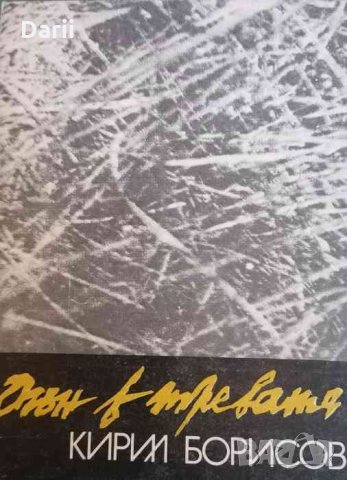 Огън в тревата -Кирил Борисов