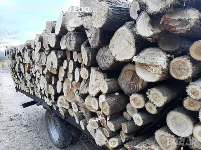 предлагам дърва за огрев метровки акация салкъм , снимка 2 - Дърва за огрев - 47775462