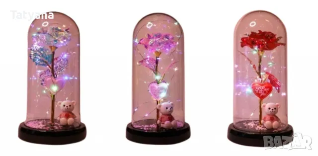 Роза , снимка 1