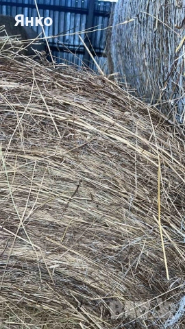Бали слама и сено рулонни, снимка 10 - За селскостопански - 52337096