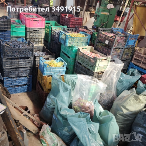Продавам грозде, снимка 1