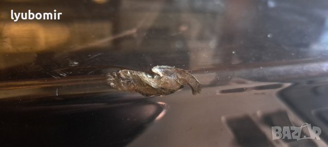 Гамофон Филипс, снимка 2 - Грамофони - 43428798