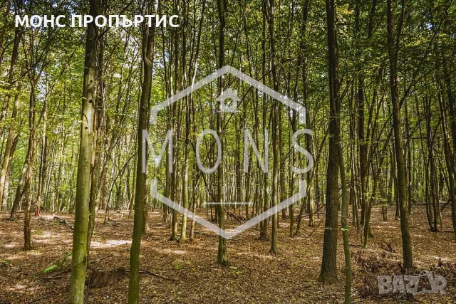 Гори в с. Самоводене, обл. Велико Търново