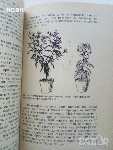 Нашите кръжоци по Агробиология - Кирил Ризов - 1971г., снимка 4 - Други - 52939000