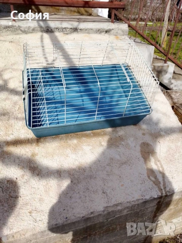 Продавам калифорнийски зайци, снимка 3 - Други животни - 53592747