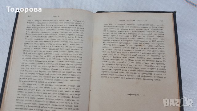 Книга от 1893 година-История на немската литература, снимка 6 - Антикварни и старинни предмети - 28379514
