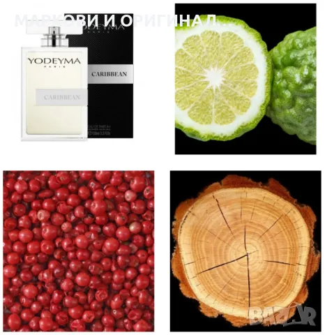 Yodeyma CARIBBEAN 50мл., снимка 8 - Мъжки парфюми - 49996630