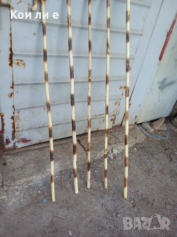 5 брой геги , снимка 2 - Колекции - 38697778