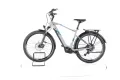 E-Bike Raymon TourRay E 5.0 55cm 2023 само на 690км, снимка 3